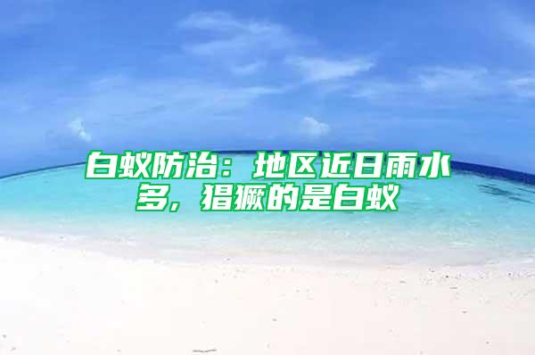 白蟻防治：地區(qū)近日雨水多, 猖獗的是白蟻