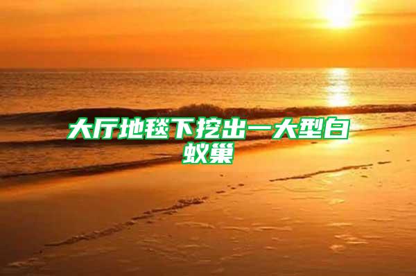 大廳地毯下挖出一大型白蟻巢