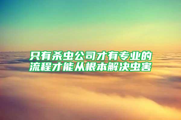 只有殺蟲公司才有專業(yè)的流程才能從根本解決蟲害
