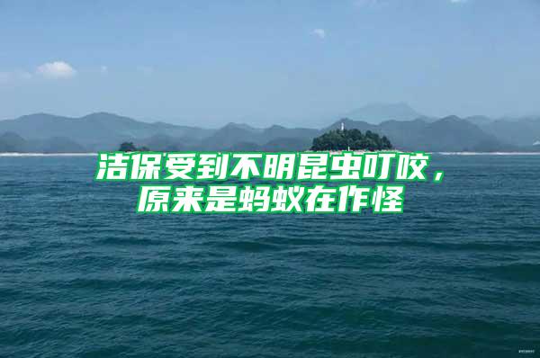 潔保受到不明昆蟲(chóng)叮咬，原來(lái)是螞蟻在作怪