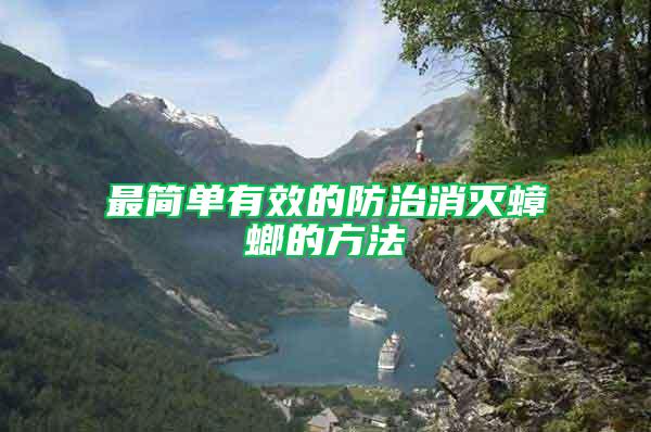 最簡單有效的防治消滅蟑螂的方法