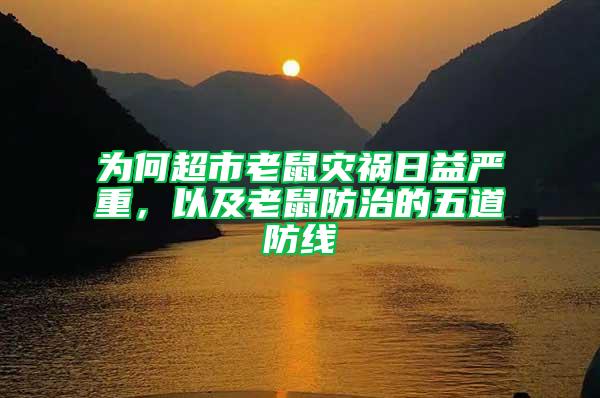 為何超市老鼠災禍日益嚴重，以及老鼠防治的五道防線