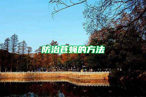 防治蒼蠅的方法