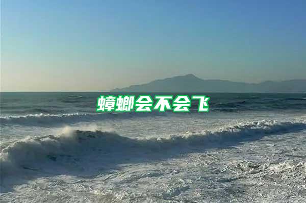 蟑螂會不會飛