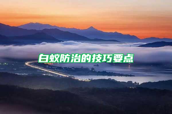 白蟻防治的技巧要點