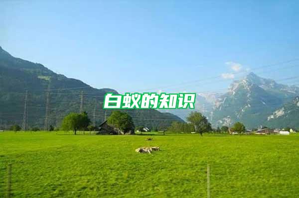 白蟻的知識