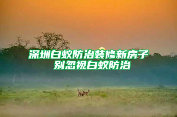 深圳白蟻防治裝修新房子 別忽視白蟻防治