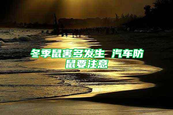 冬季鼠害多發(fā)生 汽車防鼠要注意