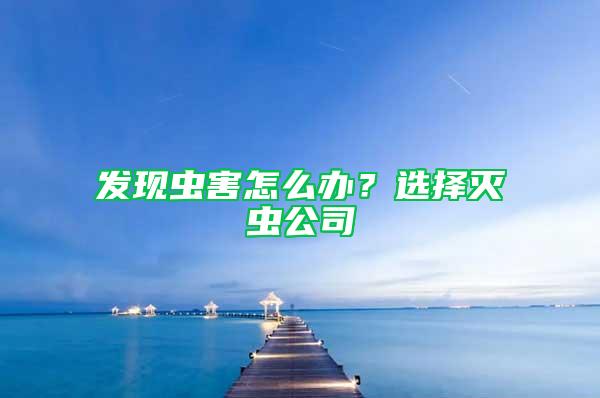 發(fā)現蟲害怎么辦？選擇滅蟲公司