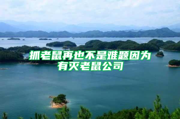 抓老鼠再也不是難題因為有滅老鼠公司