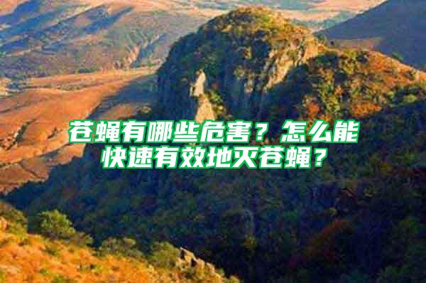 蒼蠅有哪些危害？怎么能快速有效地滅蒼蠅？