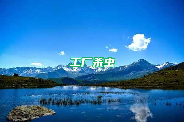 工廠殺蟲