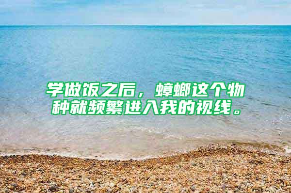 學(xué)做飯之后，蟑螂這個(gè)物種就頻繁進(jìn)入我的視線。