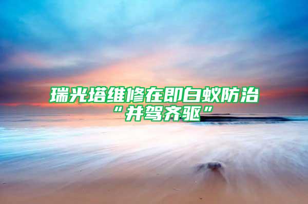 瑞光塔維修在即白蟻防治“并駕齊驅(qū)”