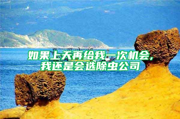 如果上天再給我一次機(jī)會,我還是會選除蟲公司