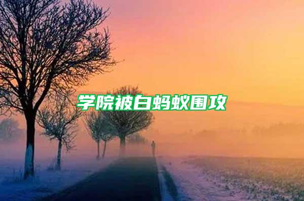 學(xué)院被白螞蟻圍攻