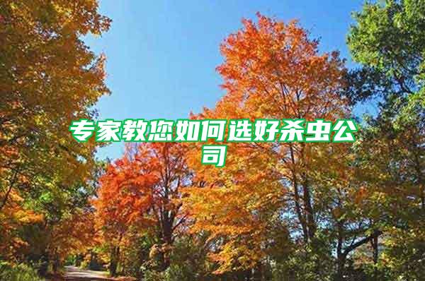 專(zhuān)家教您如何選好殺蟲(chóng)公司
