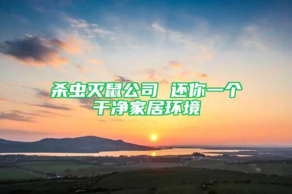殺蟲滅鼠公司 還你一個干凈家居環(huán)境