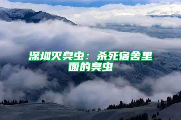 深圳滅臭蟲：殺死宿舍里面的臭蟲