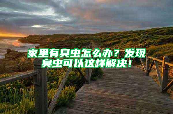 家里有臭蟲怎么辦？發(fā)現臭蟲可以這樣解決！