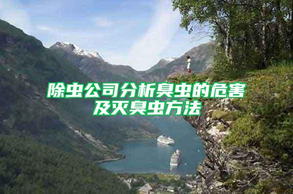 除蟲公司分析臭蟲的危害及滅臭蟲方法