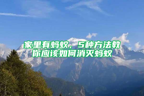 家里有螞蟻，5種方法教你應(yīng)該如何消滅螞蟻