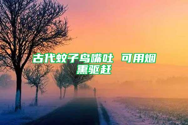 古代蚊子鳥(niǎo)嘴吐 可用煙熏驅(qū)趕