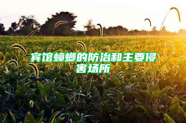 賓館蟑螂的防治和主要侵害場(chǎng)所