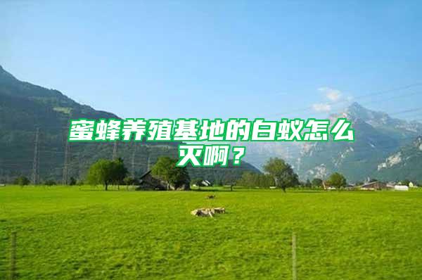 蜜蜂養(yǎng)殖基地的白蟻怎么滅啊?