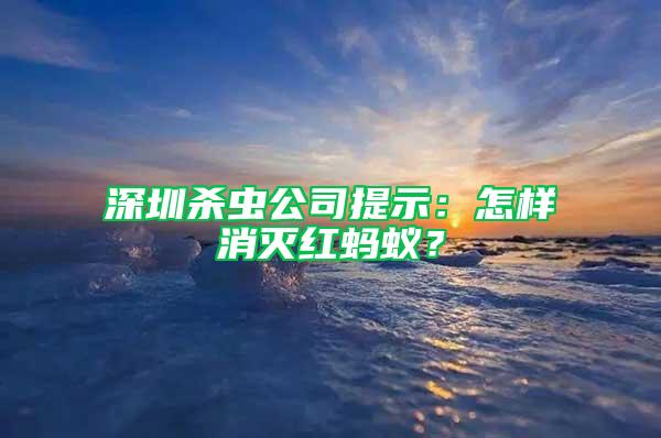 深圳殺蟲公司提示：怎樣消滅紅螞蟻？