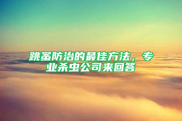 跳蚤防治的最佳方法，專業(yè)殺蟲公司來回答