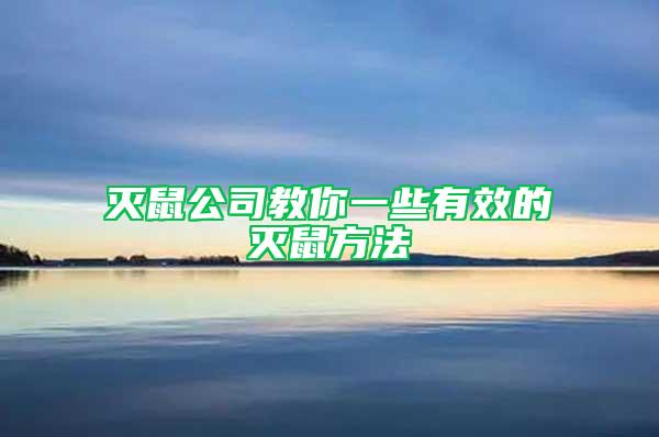 滅鼠公司教你一些有效的滅鼠方法