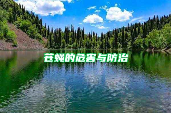 蒼蠅的危害與防治