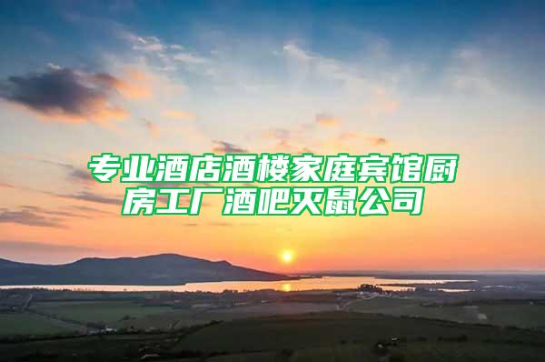 專業(yè)酒店酒樓家庭賓館廚房工廠酒吧滅鼠公司