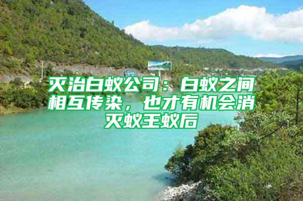 滅治白蟻公司：白蟻之間相互傳染，也才有機(jī)會消滅蟻王蟻后