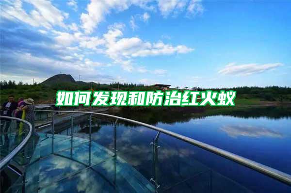 如何發(fā)現(xiàn)和防治紅火蟻