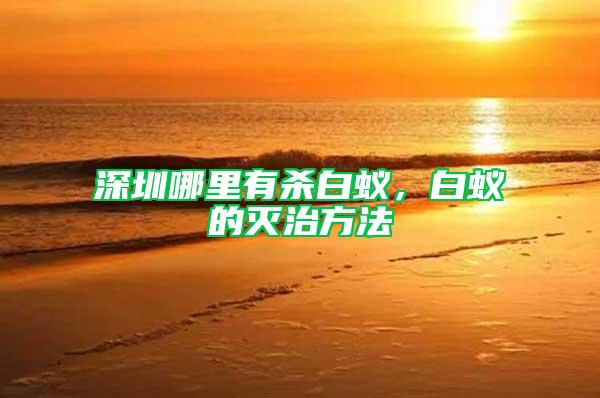 深圳哪里有殺白蟻，白蟻的滅治方法
