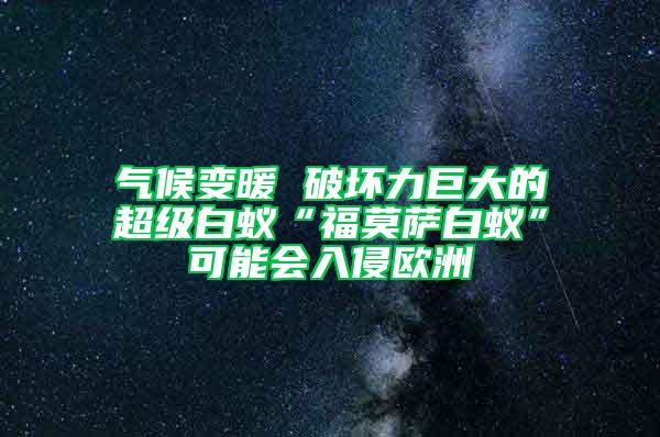 氣候變暖 破壞力巨大的超級白蟻“福莫薩白蟻”可能會入侵歐洲