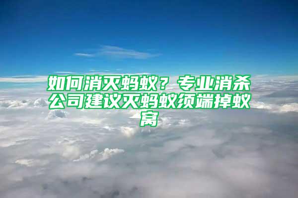 如何消滅螞蟻？專業(yè)消殺公司建議滅螞蟻須端掉蟻窩