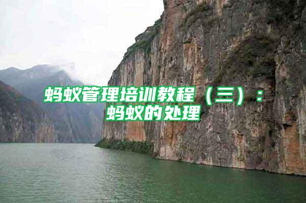 螞蟻管理培訓(xùn)教程（三）：螞蟻的處理