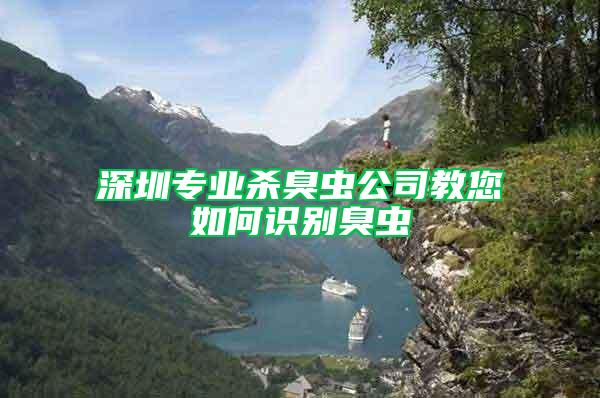深圳專業(yè)殺臭蟲公司教您如何識別臭蟲