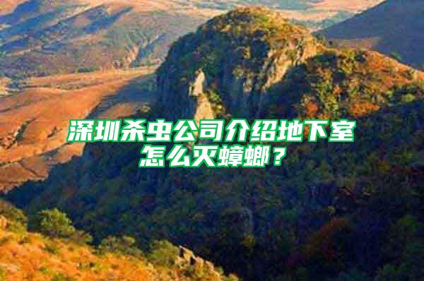 深圳殺蟲公司介紹地下室怎么滅蟑螂？
