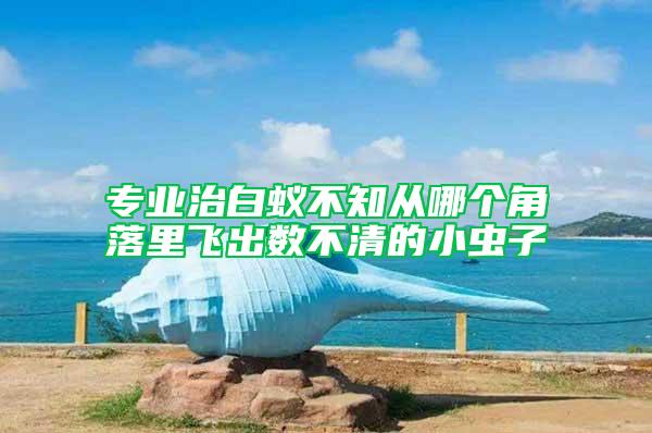 專業(yè)治白蟻不知從哪個角落里飛出數(shù)不清的小蟲子