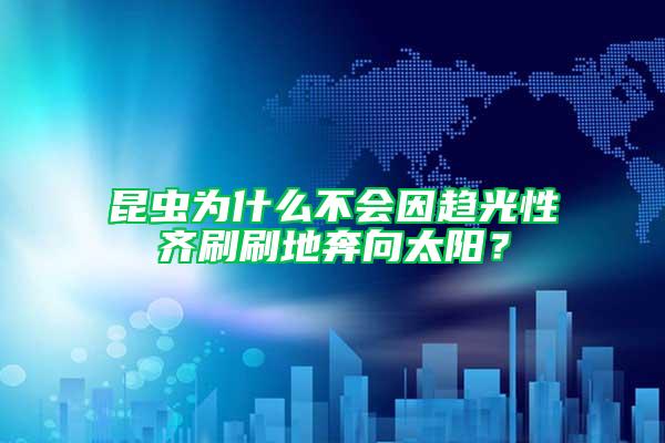 昆蟲為什么不會因趨光性齊刷刷地奔向太陽？