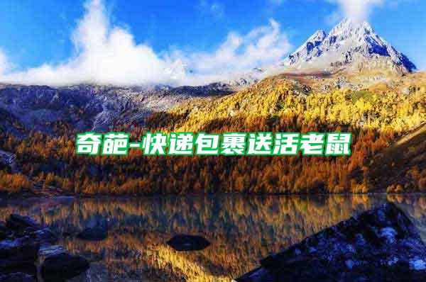 奇葩-快遞包裹送活老鼠