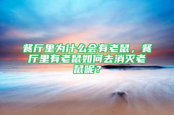 餐廳里為什么會(huì)有老鼠，餐廳里有老鼠如何去消滅老鼠呢？