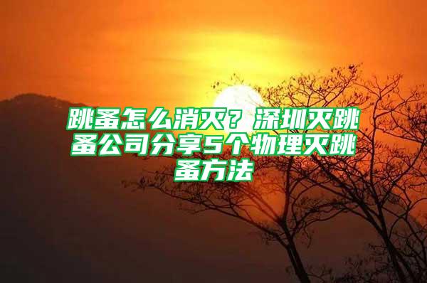 跳蚤怎么消滅？深圳滅跳蚤公司分享5個物理滅跳蚤方法