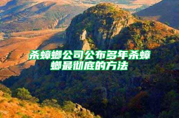 殺蟑螂公司公布多年殺蟑螂最徹底的方法