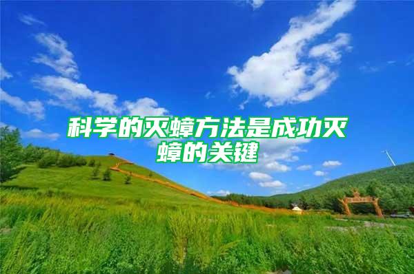 科學(xué)的滅蟑方法是成功滅蟑的關(guān)鍵