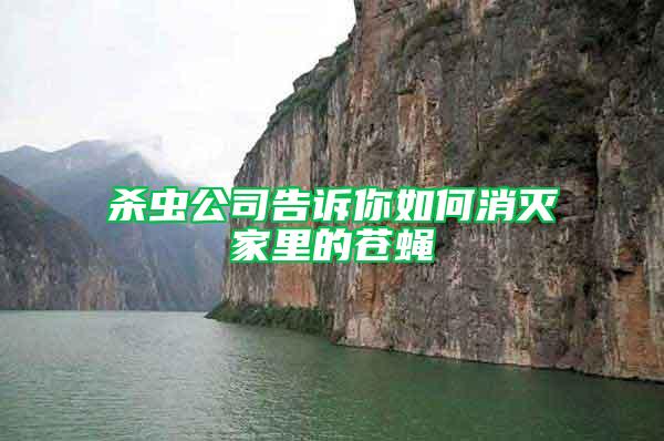 殺蟲(chóng)公司告訴你如何消滅家里的蒼蠅